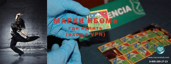 сатива Зеленокумск