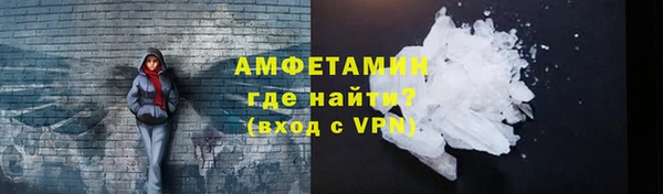 сатива Зеленокумск
