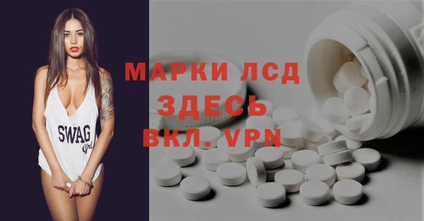 сатива Зеленокумск