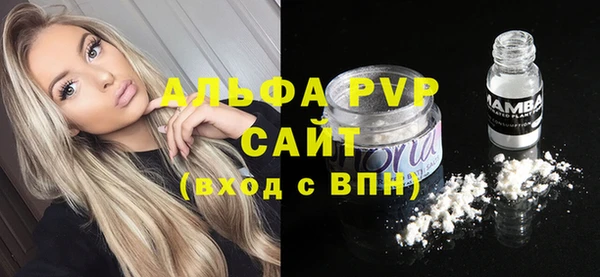 сатива Зеленокумск