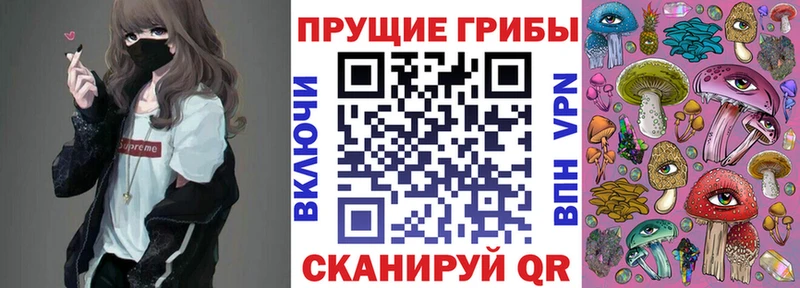 Псилоцибиновые грибы MAGIC MUSHROOMS  наркота  ОМГ ОМГ ТОР  Нижний Новгород 