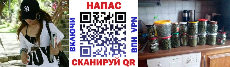 Конопля ГИДРОПОН  Нижний Новгород 